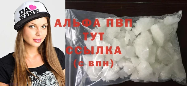 гидра Няндома