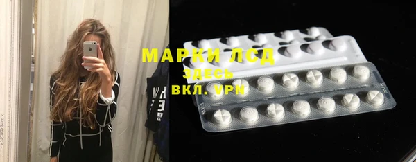 ешки Аркадак