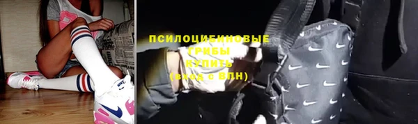 Альфа ПВП Алзамай